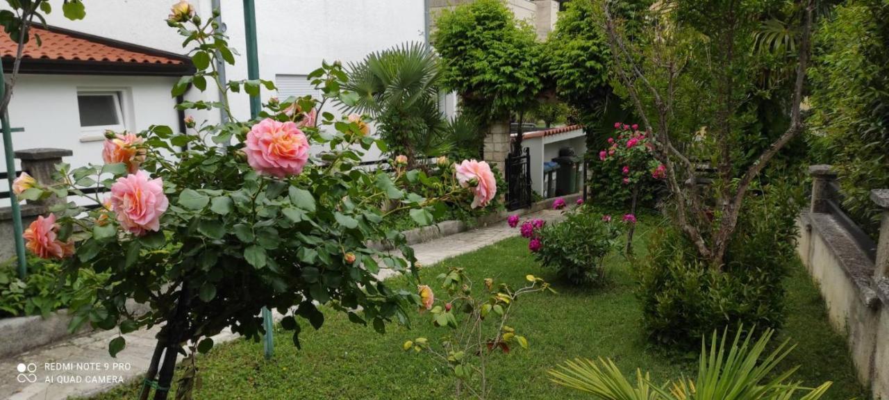 Apartment Jozefina Poreč Eksteriør billede